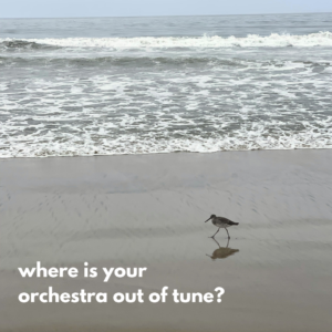 Image of bird in the sand near the ocean with a question overlay: where is your orchestra out of tune?