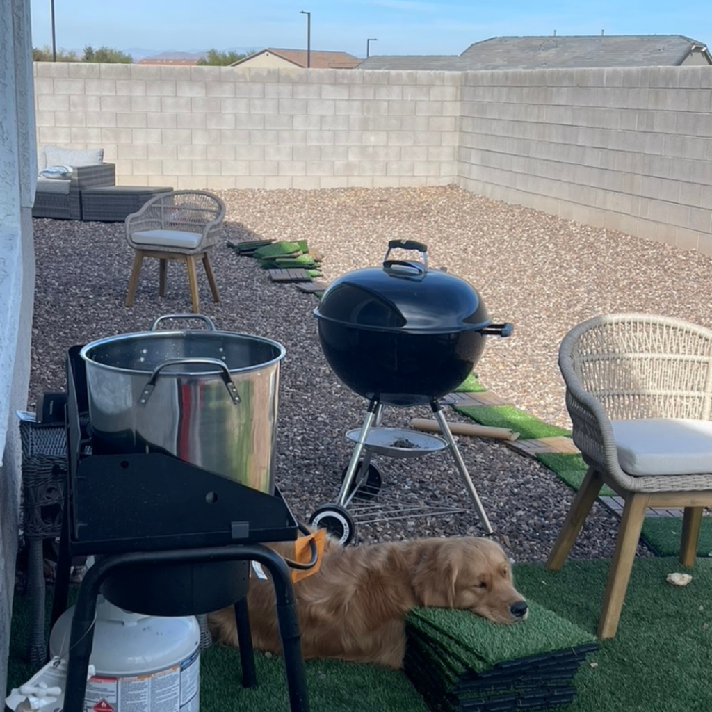 An arizona backyard before it was updated for making the most of temperate winter