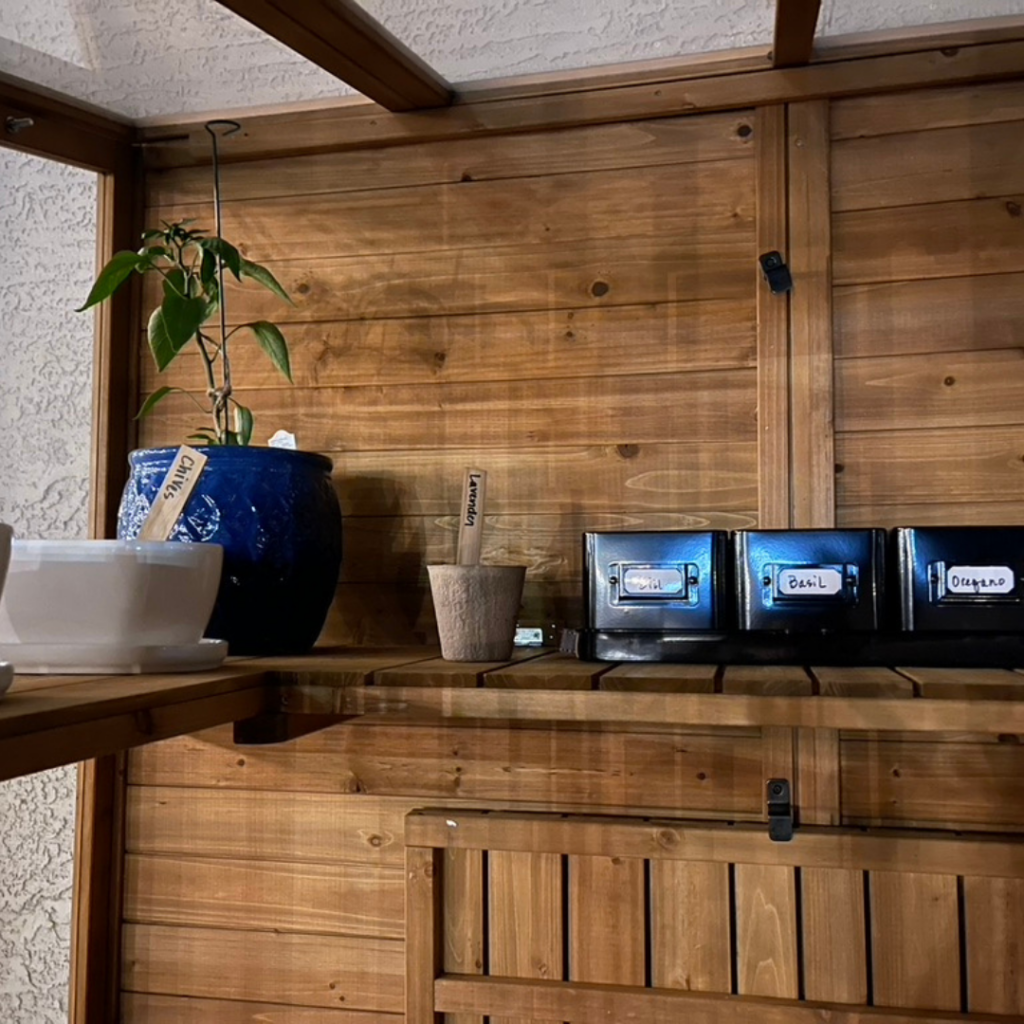 image of a greenhouse from wayfair with seedlings getting started